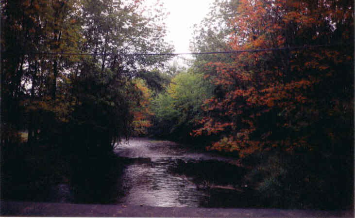 scenery.jpg